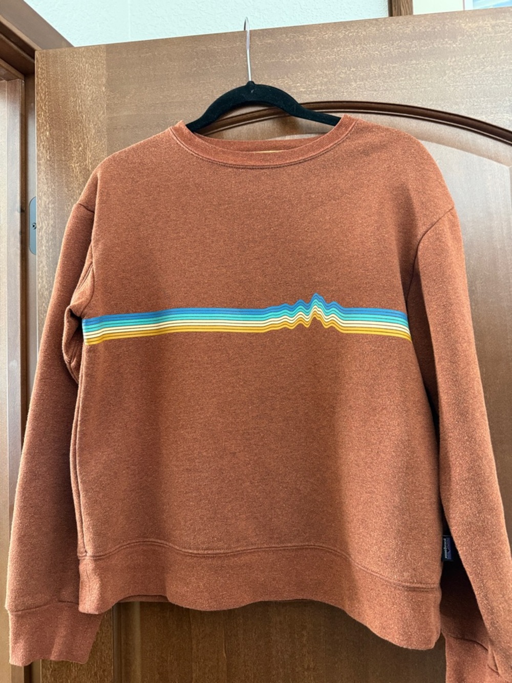 Patagonia Rust Brown Pullover Sweatshirt